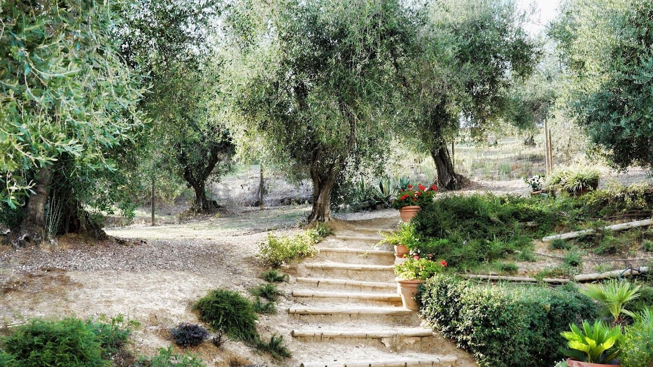 Photo of Outdoor in Palaia