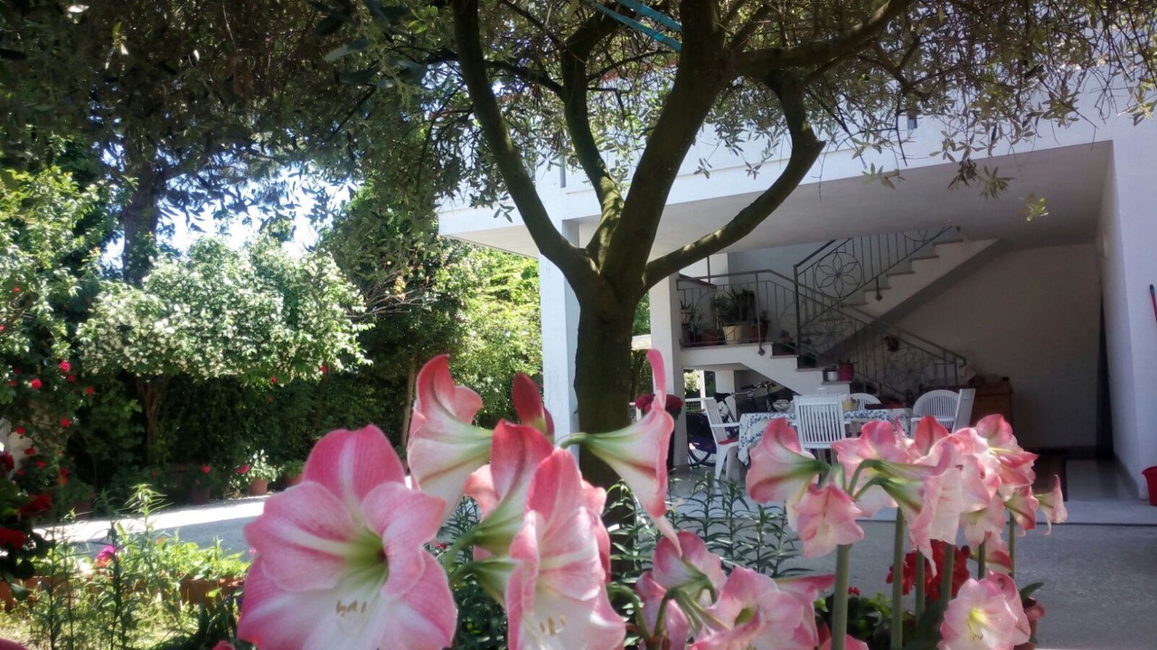 Photo of Outdoor in San Mauro a Mare