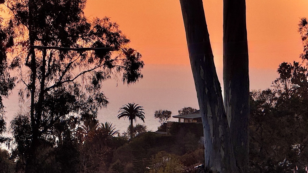 Photo of Others in Laguna Beach