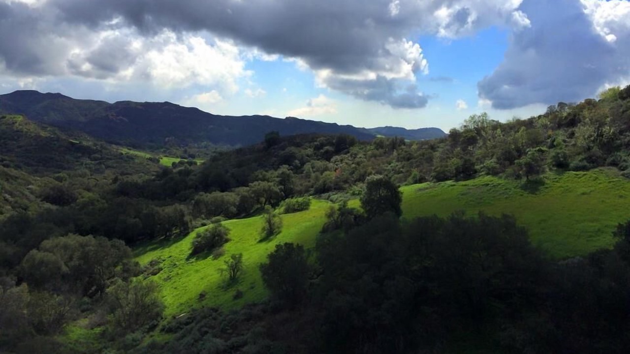 Photo of Others in Topanga
