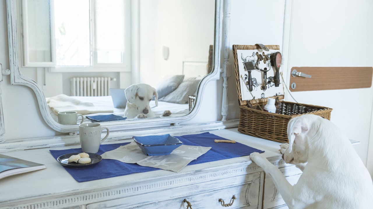 Photo of Bedroom in Riccione