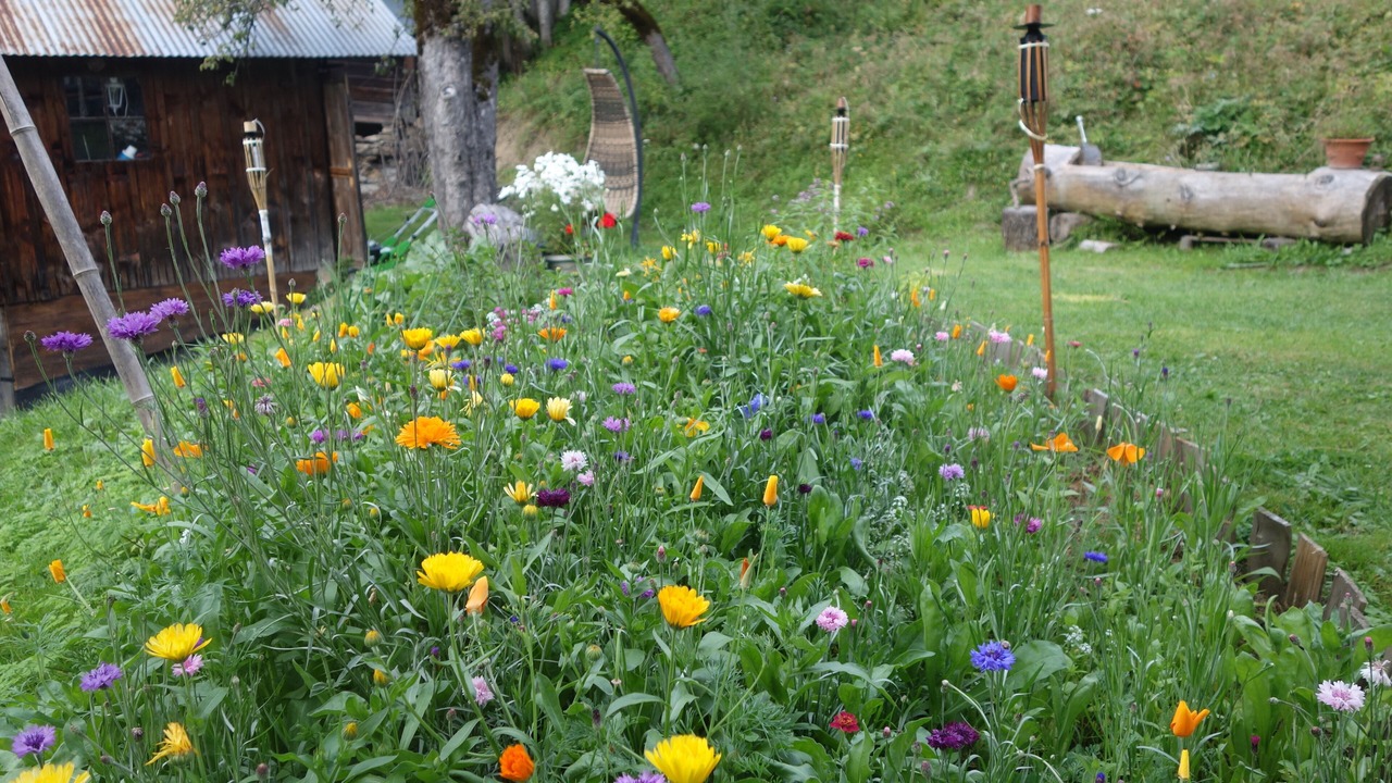 Photo of Outdoor in Saint-Nicolas-la-Chapelle