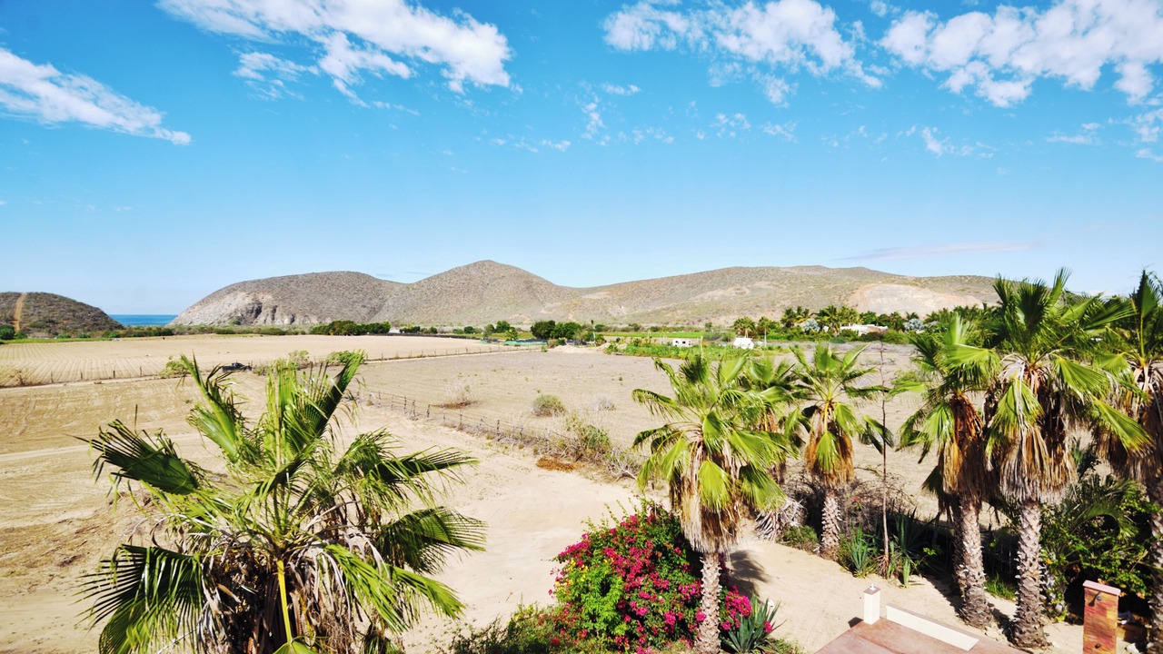 Photo of Others in Todos Santos