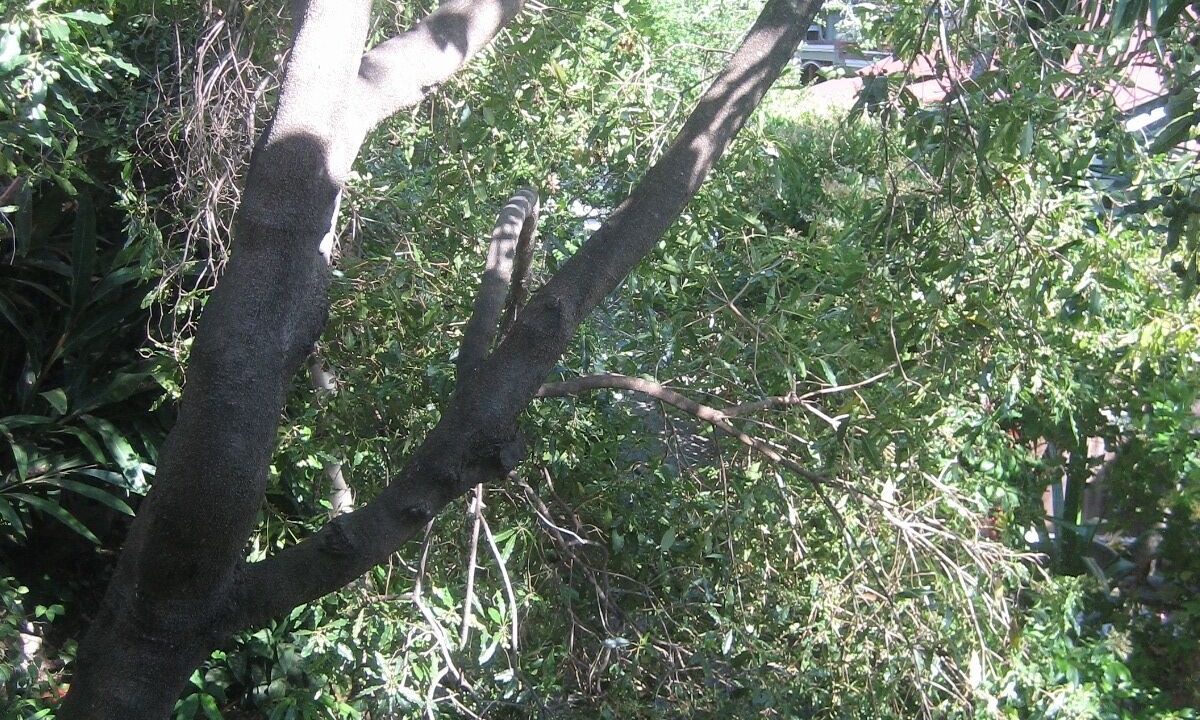 Photo of Outdoor in Oak Park