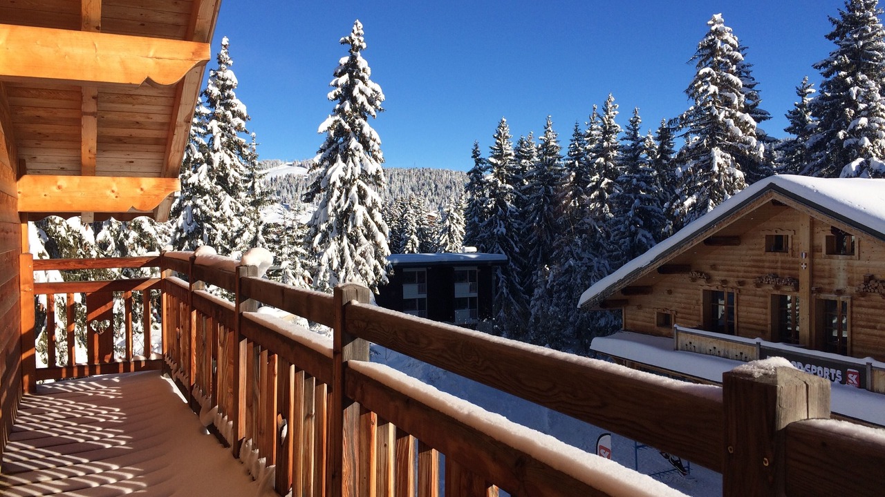 Photo of Patio Balcony in Les Saisies