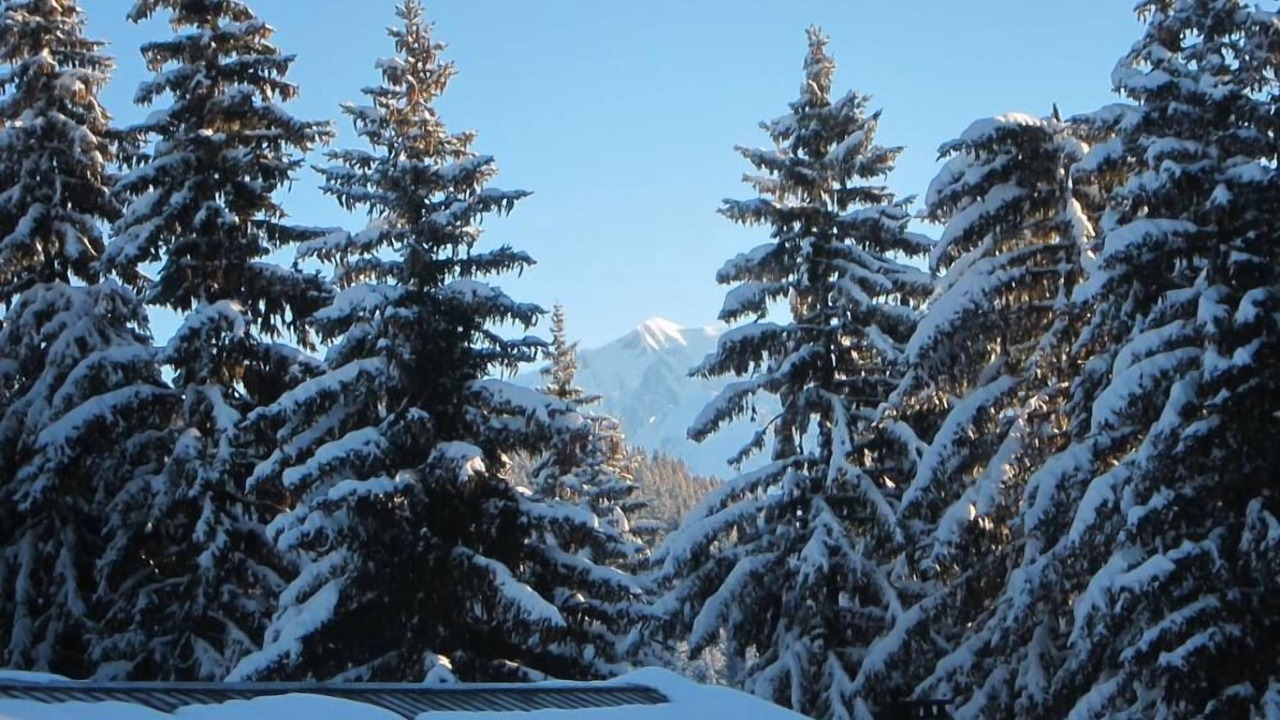 Photo of Others in Les Saisies
