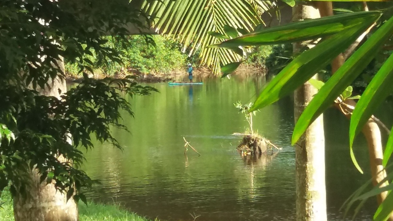 Photo of Outdoor in Mambucaba