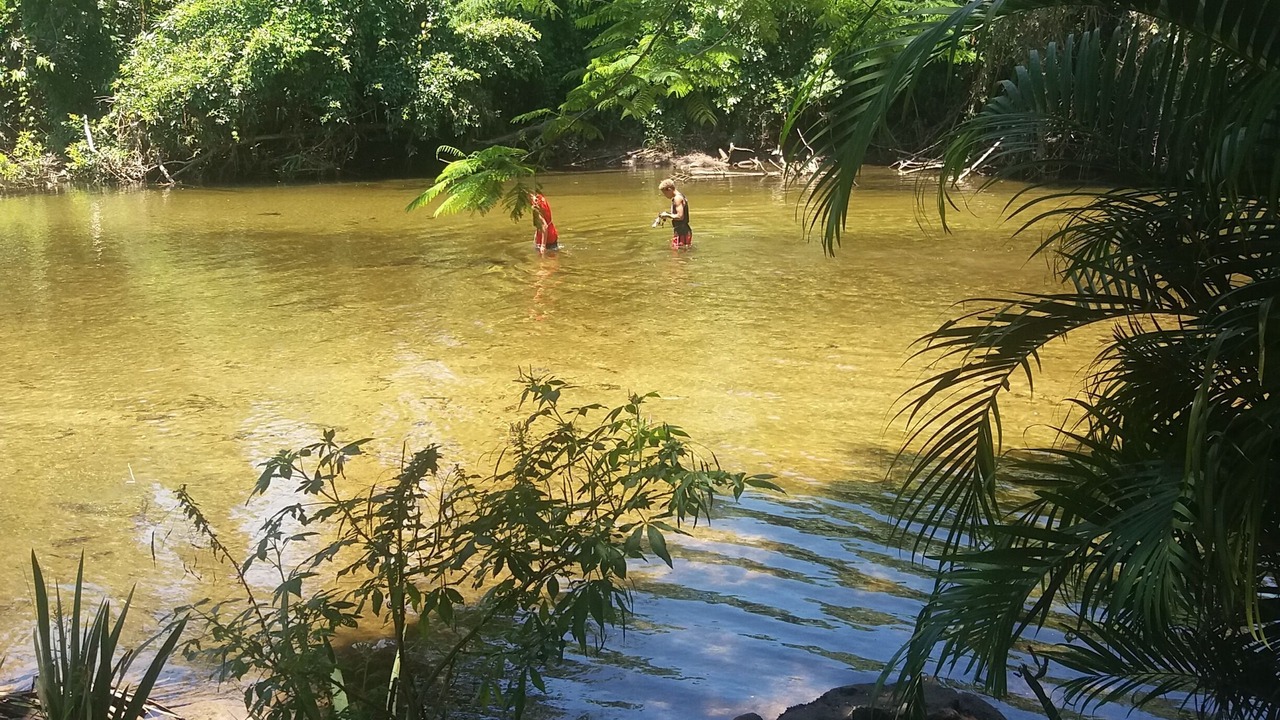Photo of Outdoor in Mambucaba