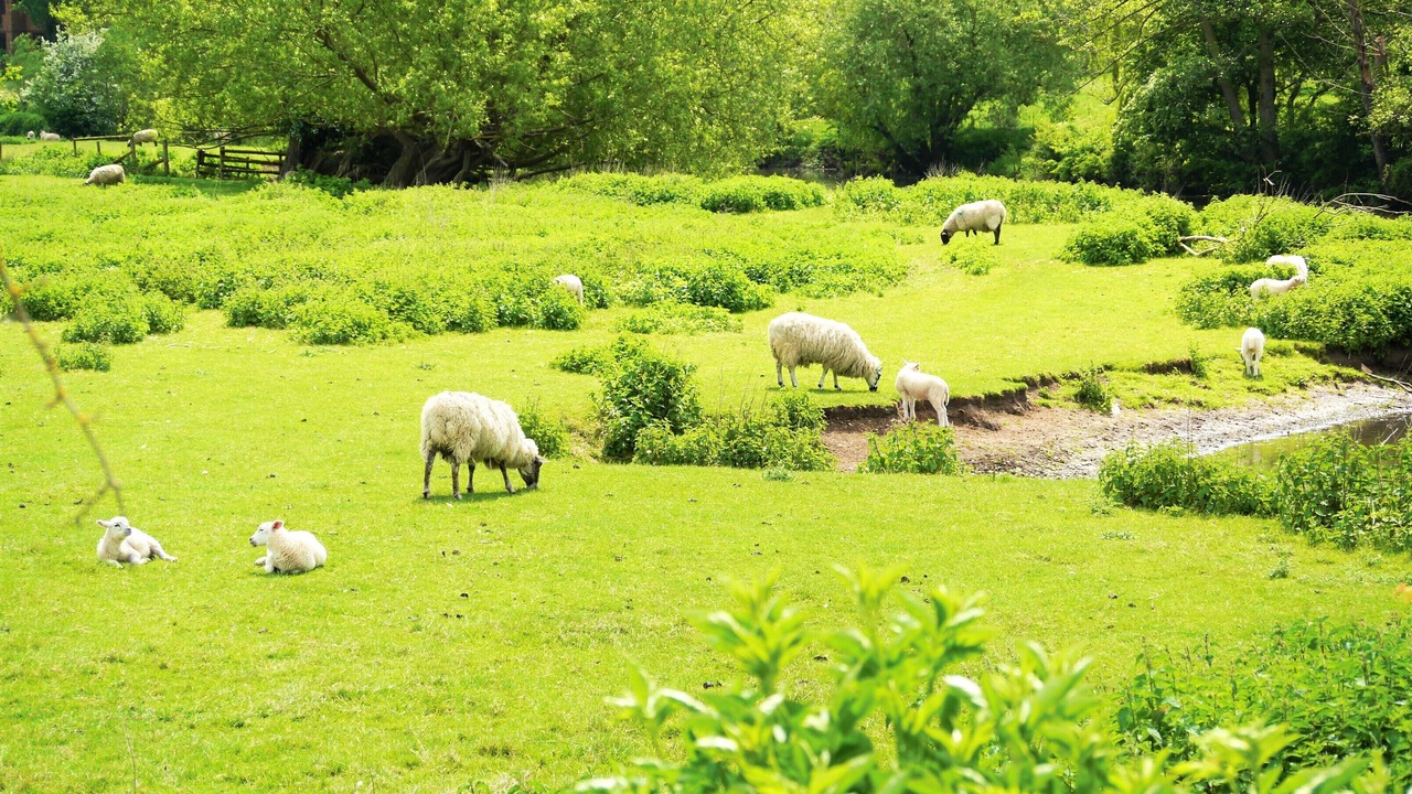 Photo of Others in Tiddington