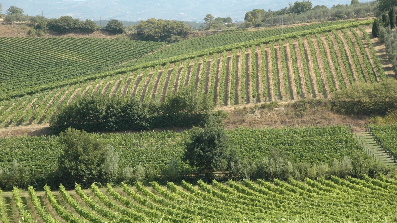 Photo of Others in Stabbia