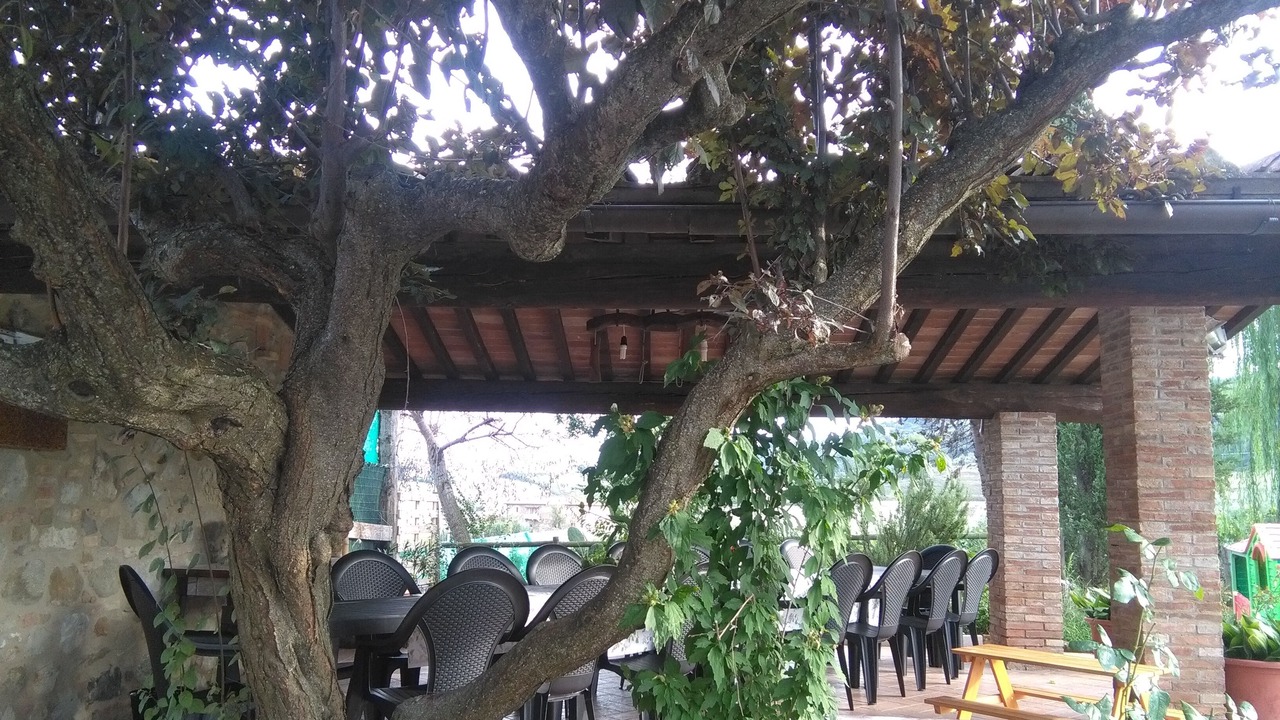 Photo of Outdoor in Chianni