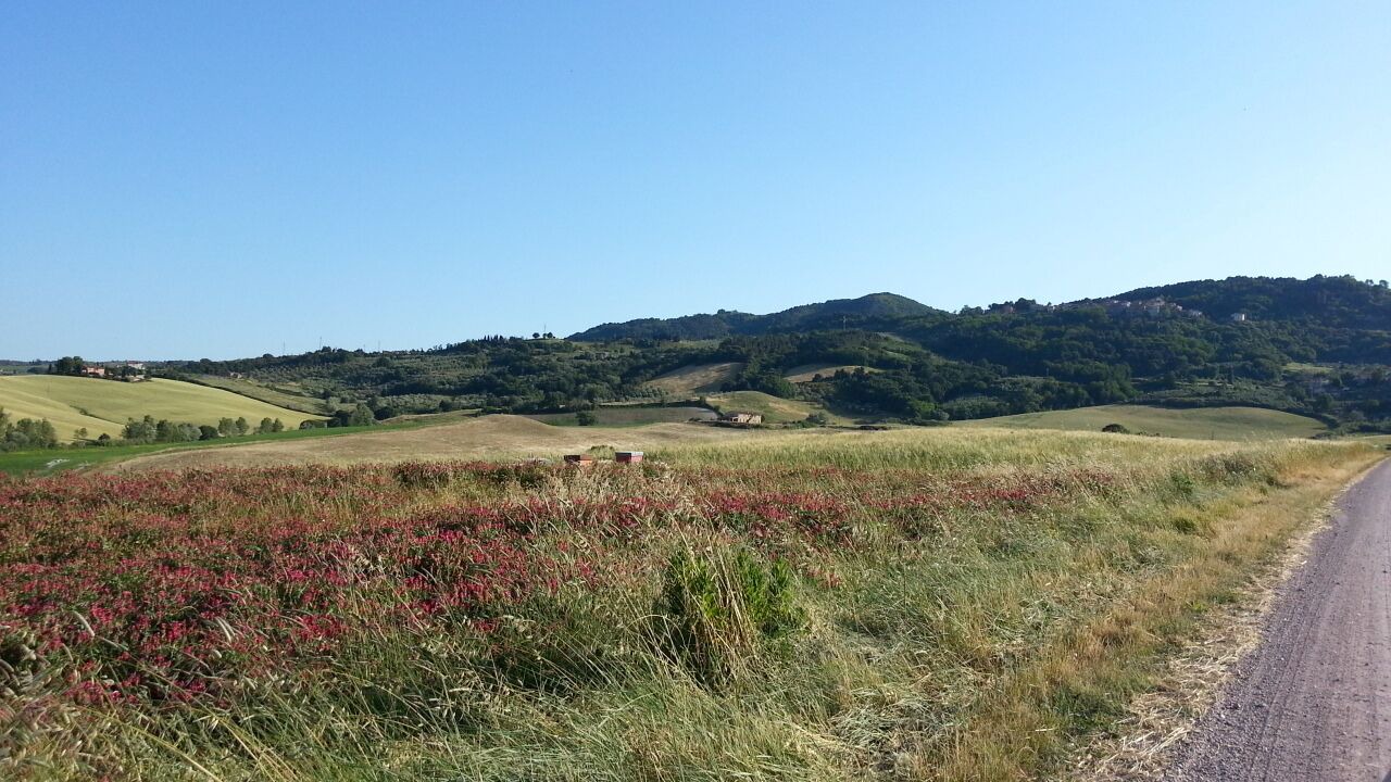 Photo of Outdoor in Chianni