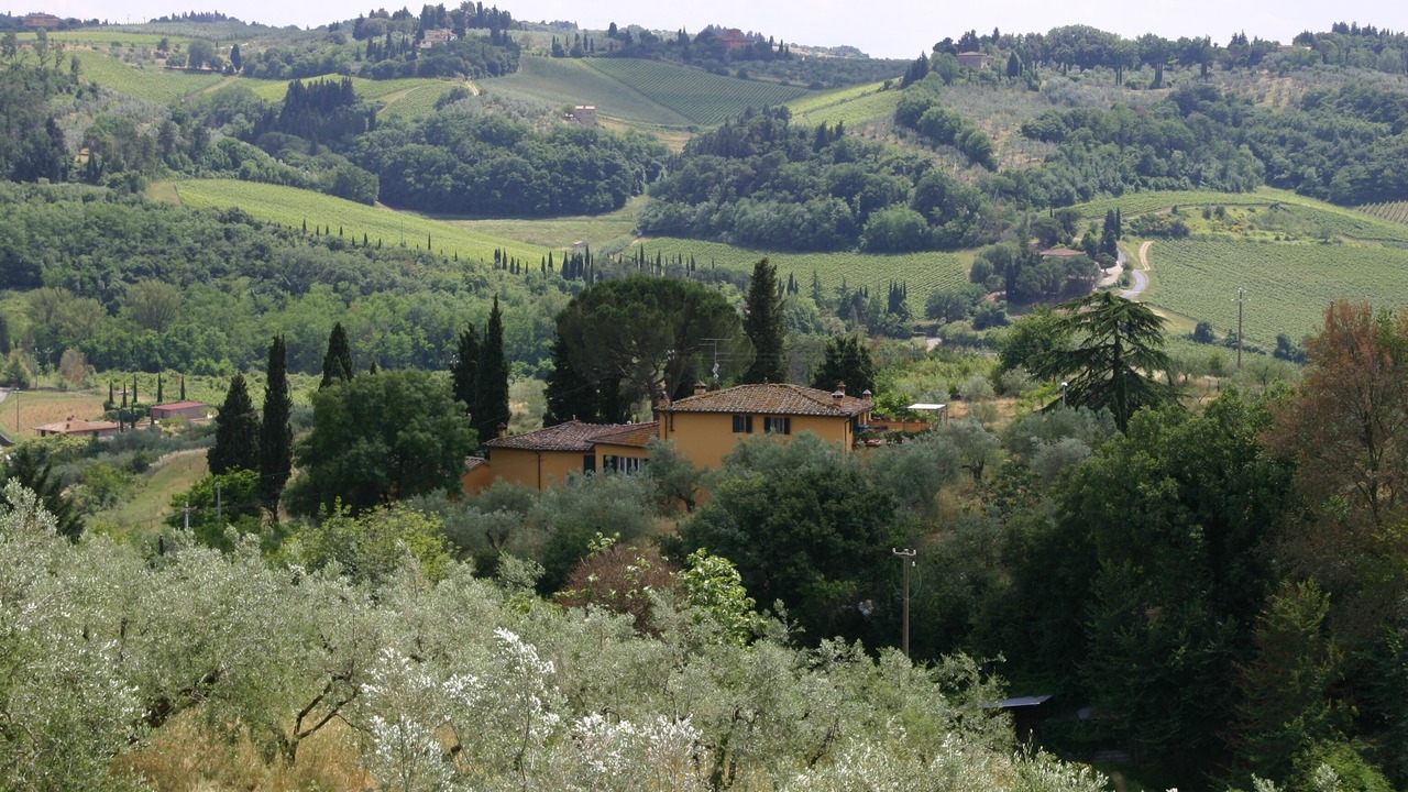 Photo of Outdoor in Romola