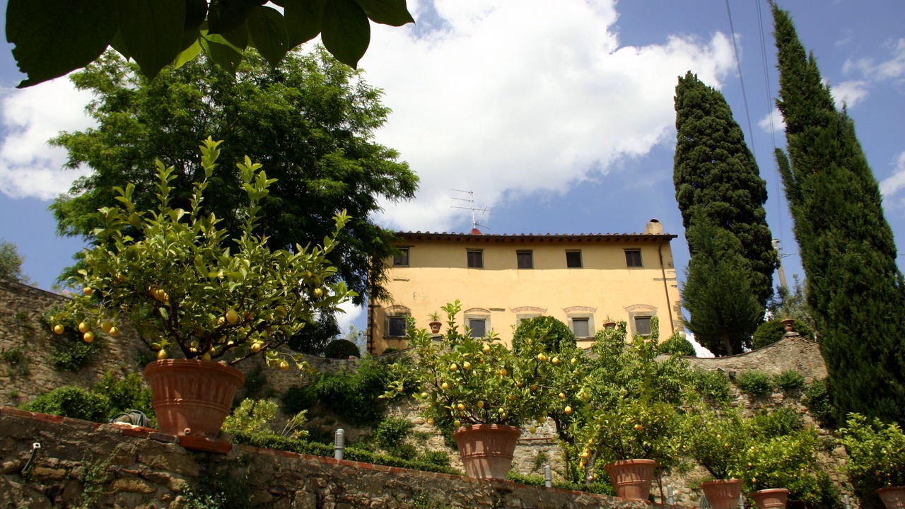 Photo of Outdoor in Romola