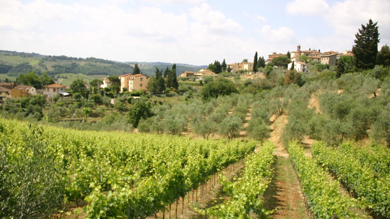 Photo of Outdoor in Romola
