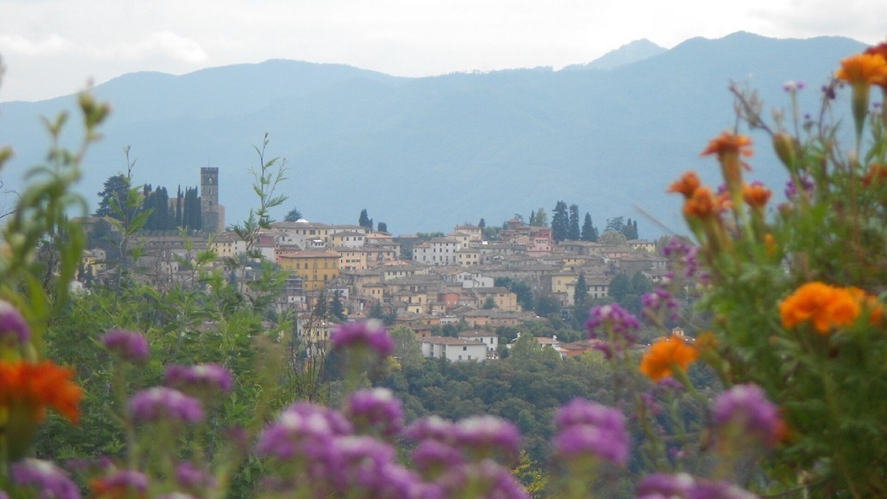 Photo of Outdoor in Mologno