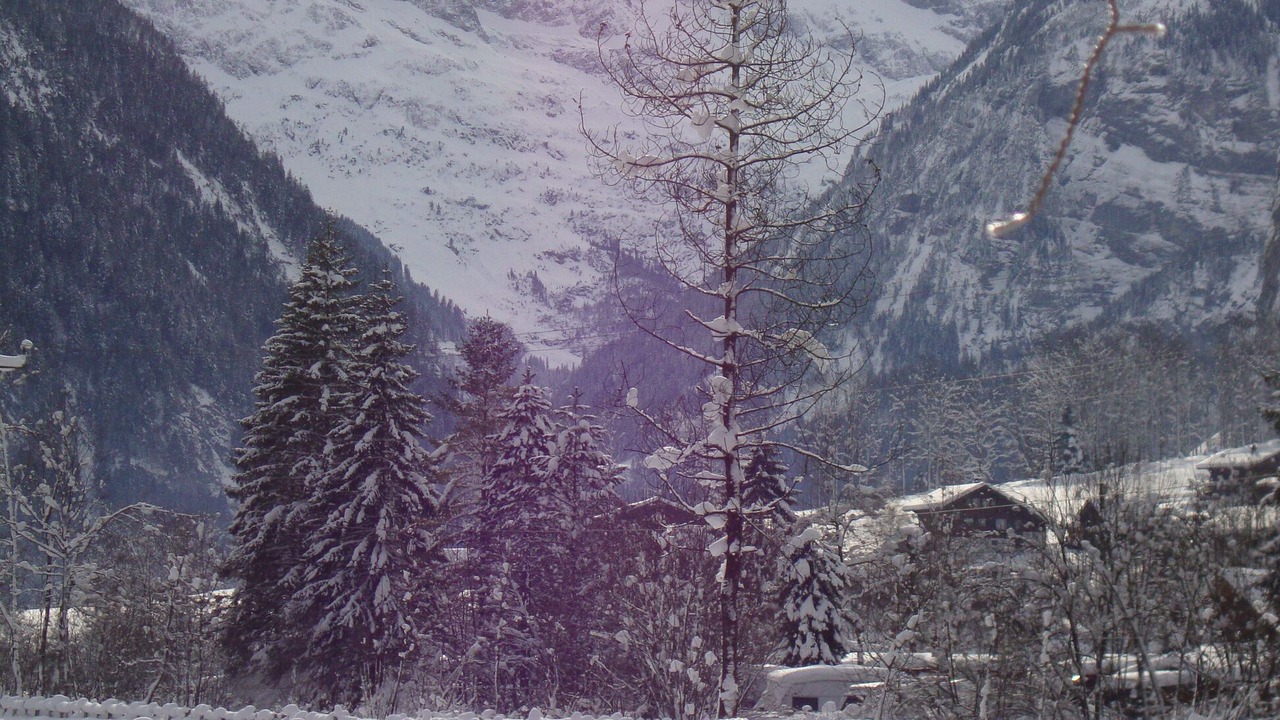 Photo of Others in Lauterbrunnen