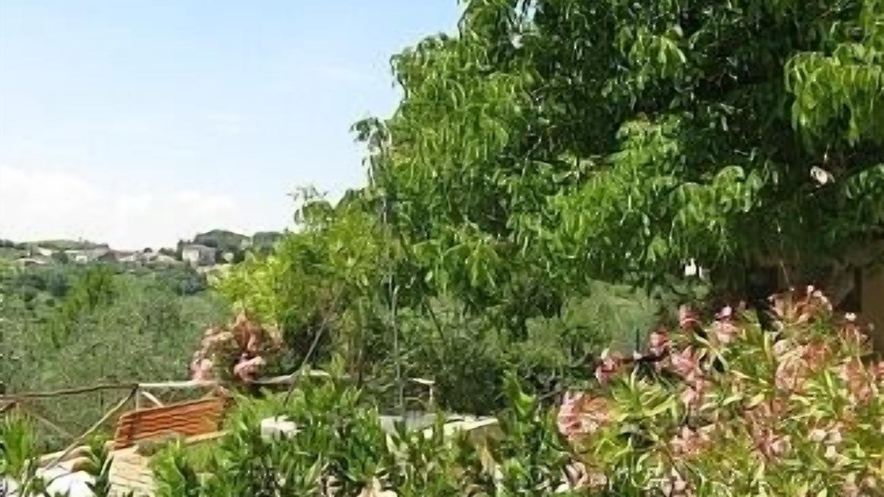 Photo of Outdoor in Lari