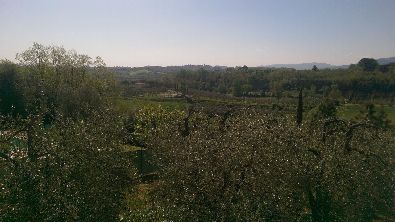 Photo of Outdoor in Lari
