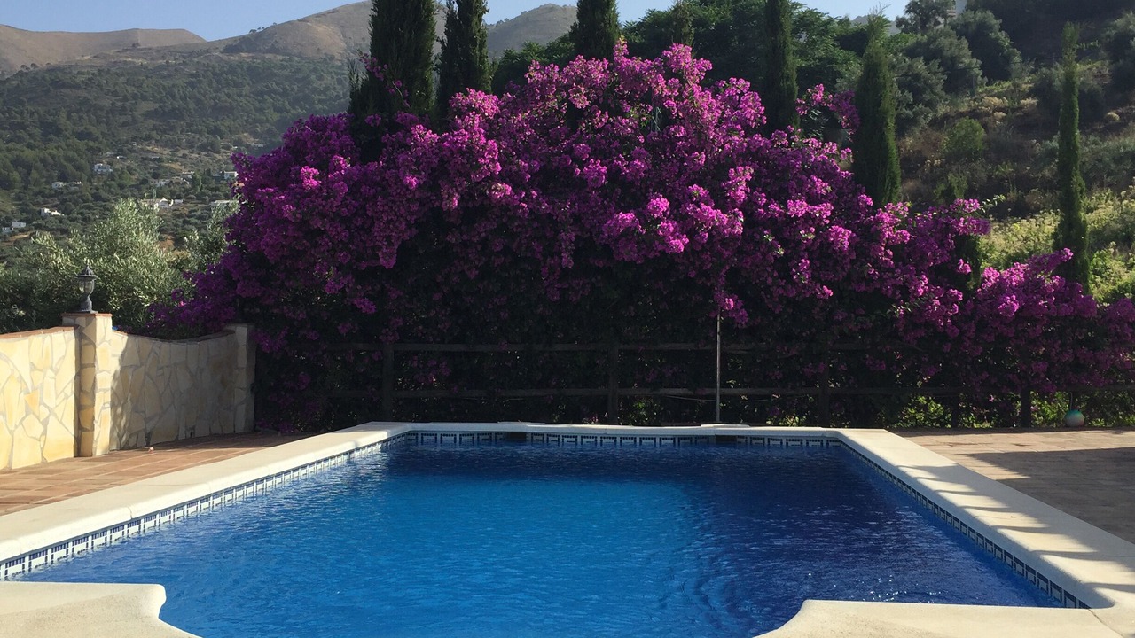 Photo of Outdoor in Competa