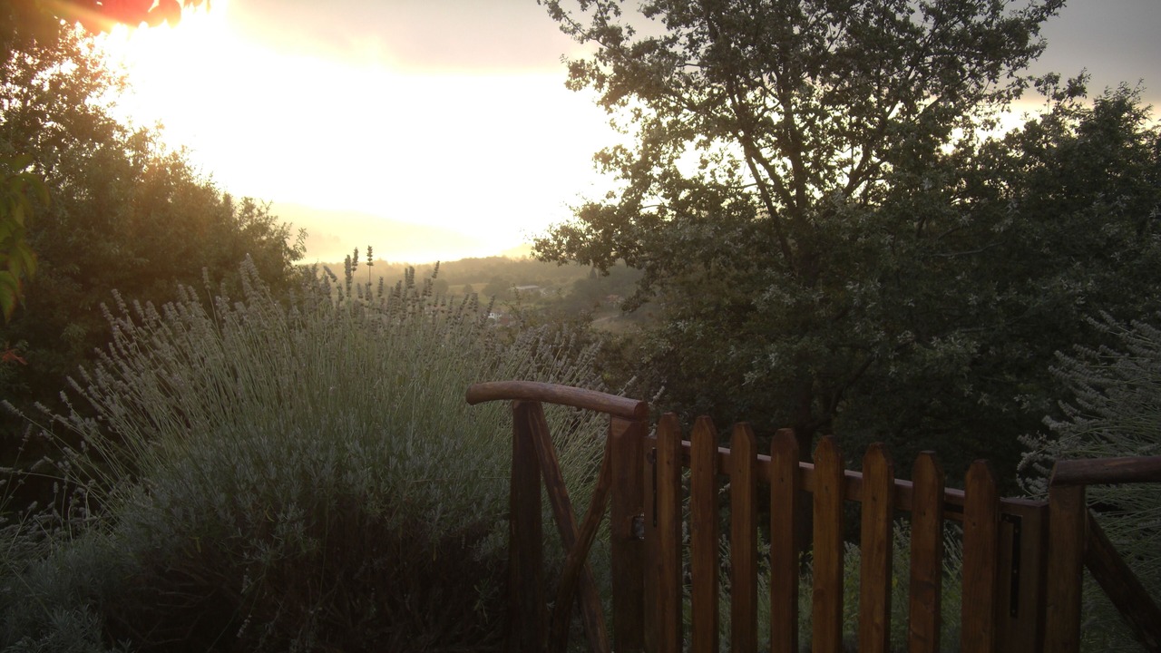 Photo of Outdoor in Caprese Michelangelo