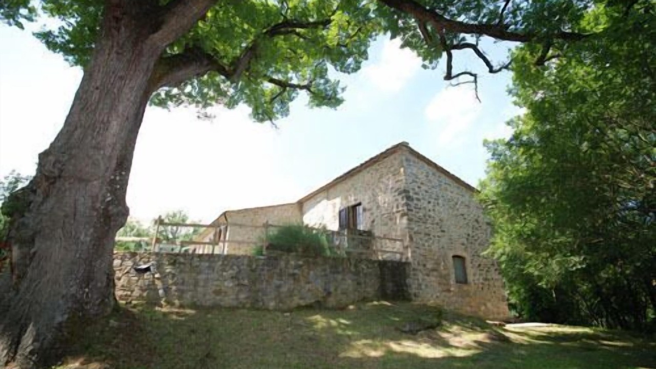 Photo of Outdoor in Castelnuovo di Val di Cecina