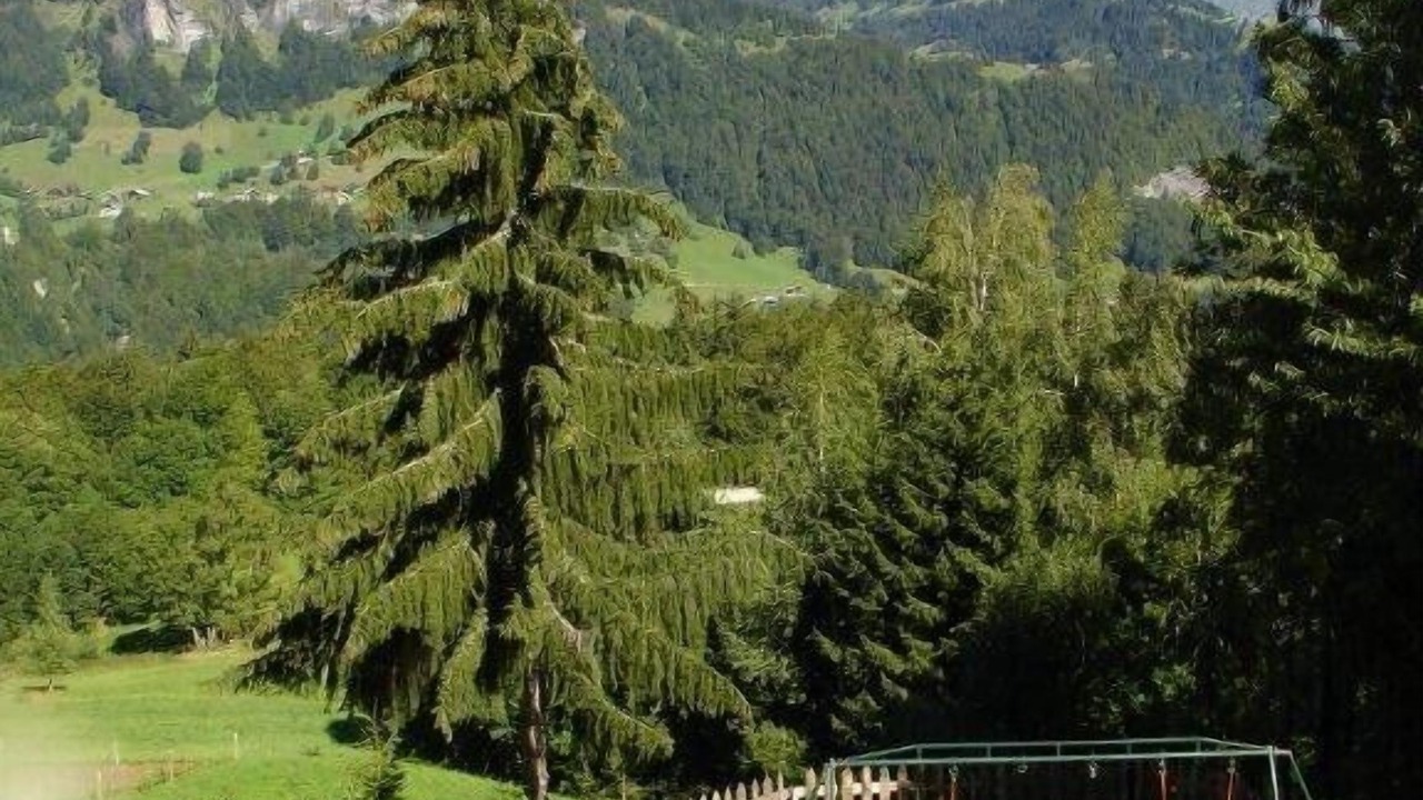 Photo of Outdoor in Crest-Voland