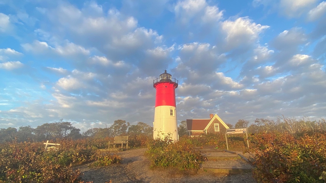 Photo of Others in North Eastham