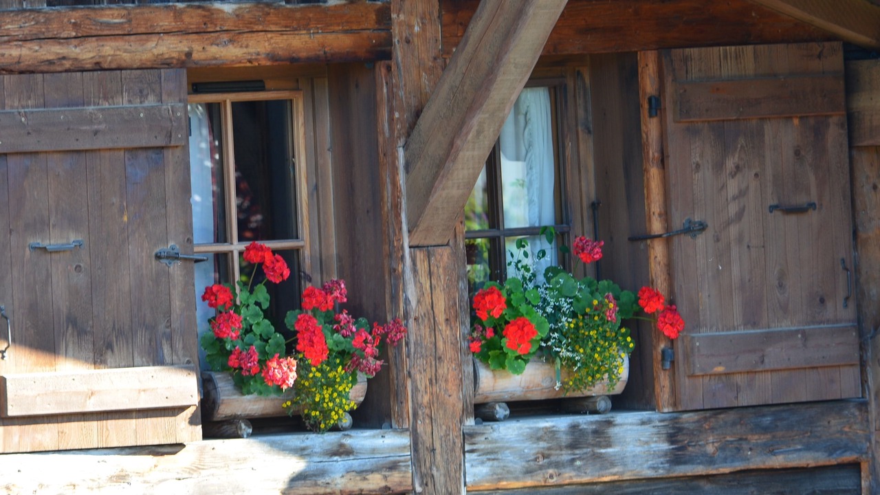 Photo of Outdoor in Demi-Quartier