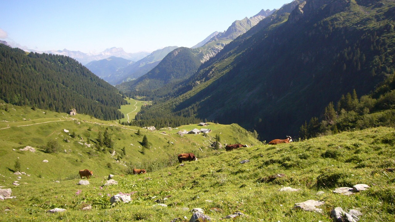Photo of Outdoor in Les Contamines-Montjoie