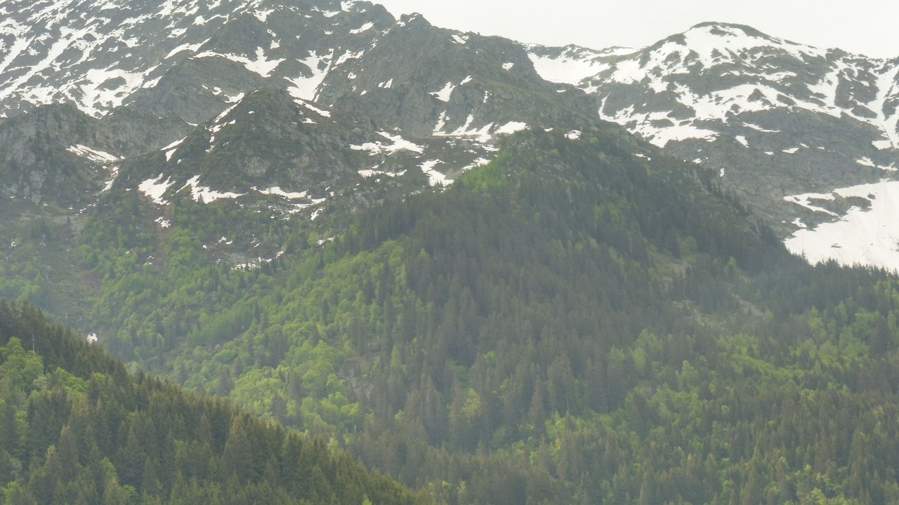 Photo of Outdoor in Les Contamines-Montjoie