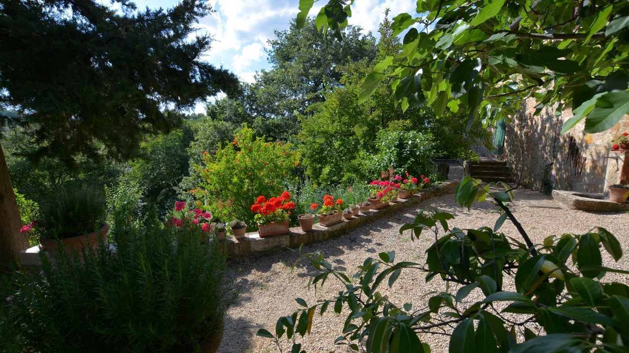 Photo of Outdoor in Radicondoli