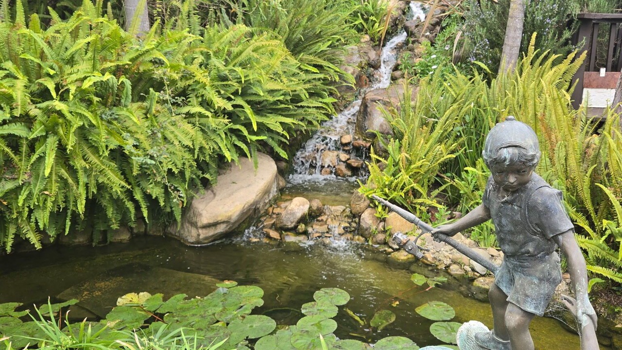 Photo of Outdoor in Alta Mesa