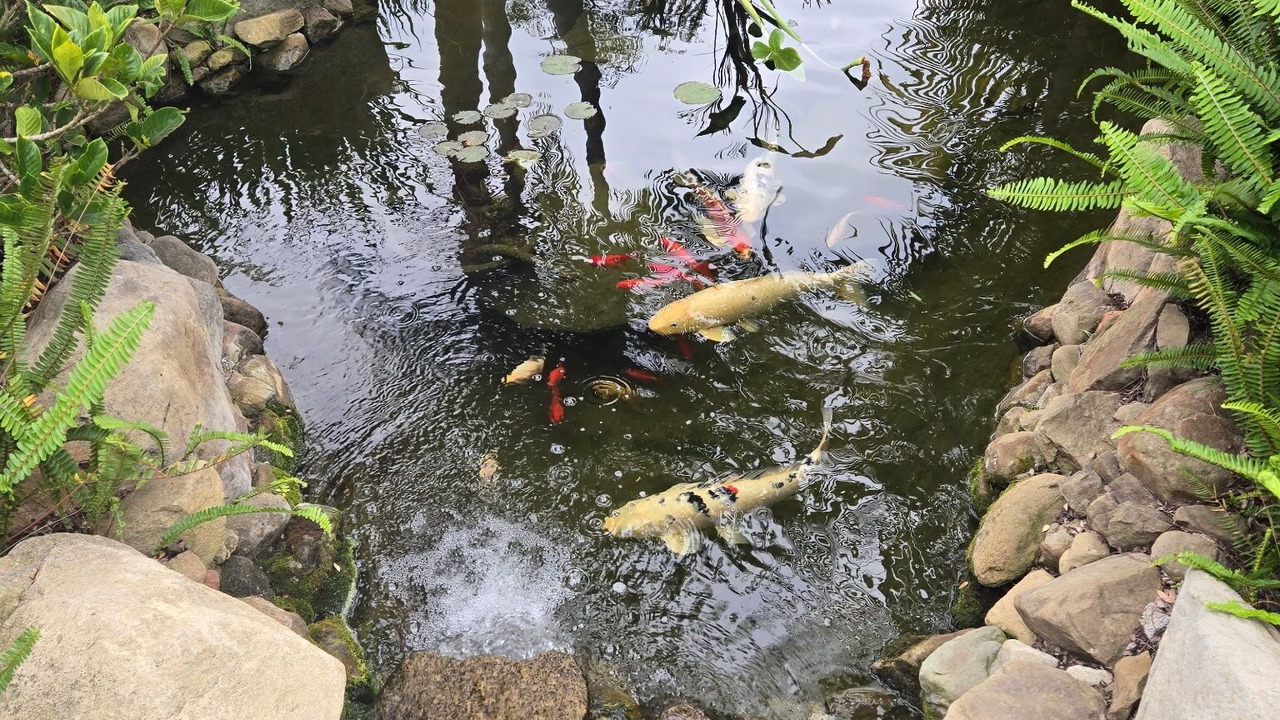 Photo of Others in Alta Mesa