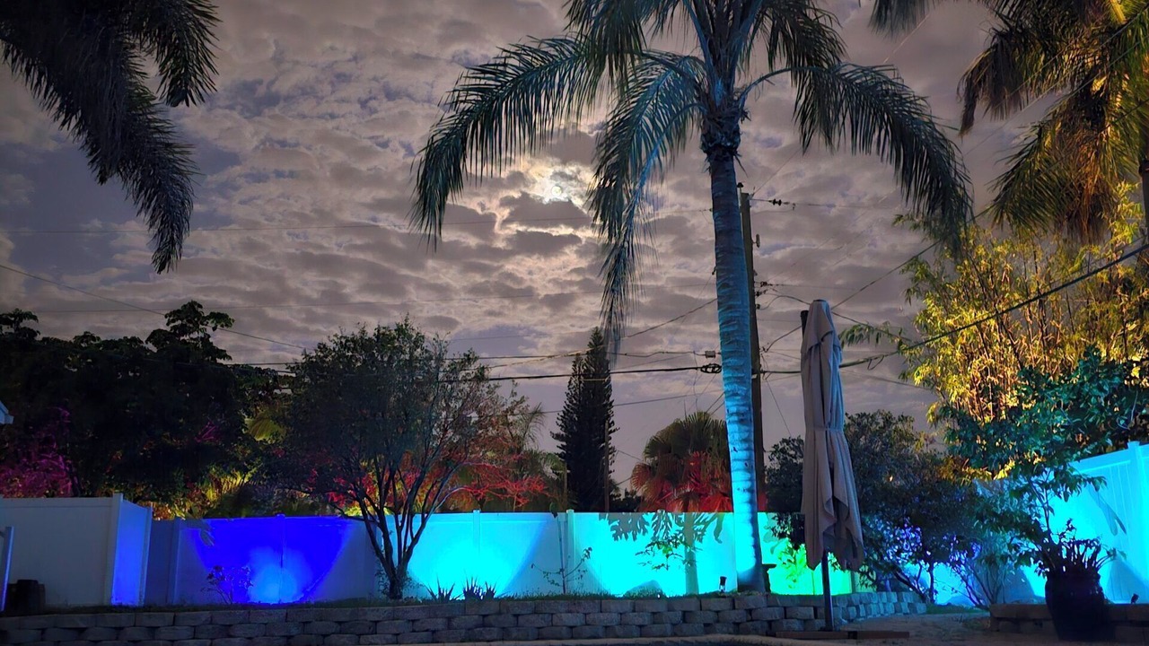Photo of Outdoor in South Corals