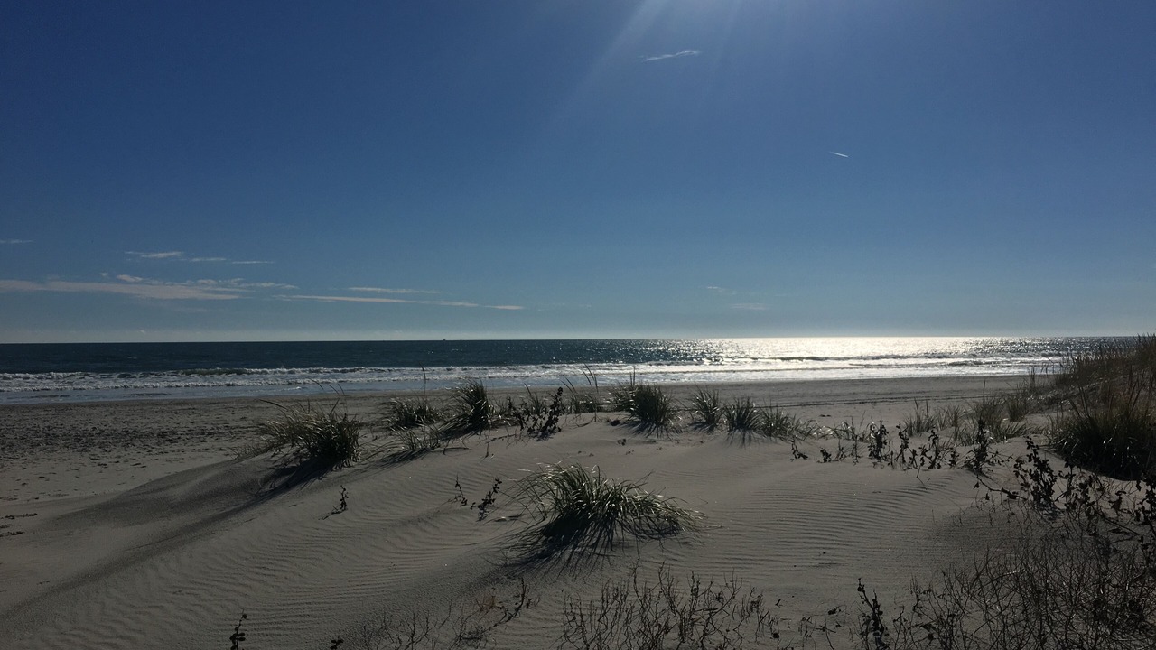 Photo of Others in Gold Coast