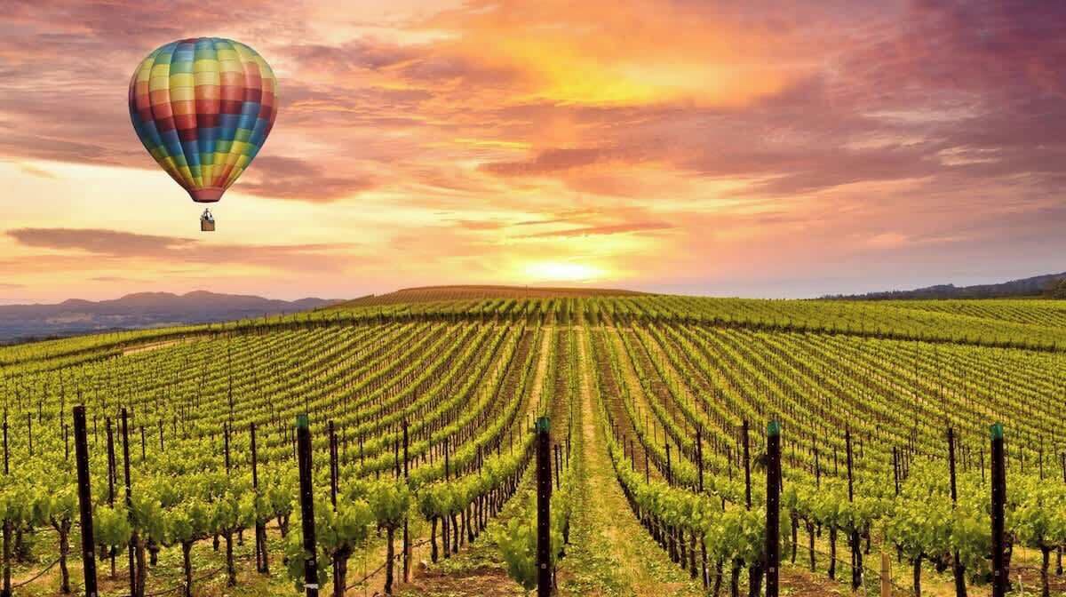 Photo of Others in Napa