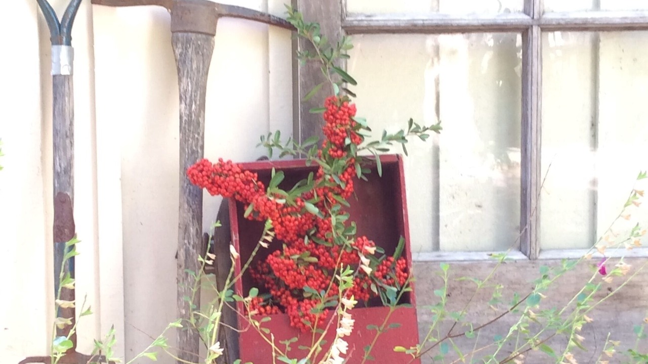 Photo of Outdoor in Napa