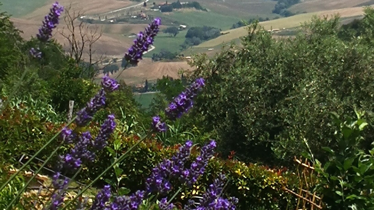 Photo of Outdoor in Volterra