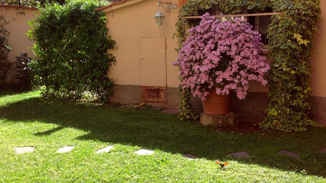 Photo of Outdoor in Campo di Marte