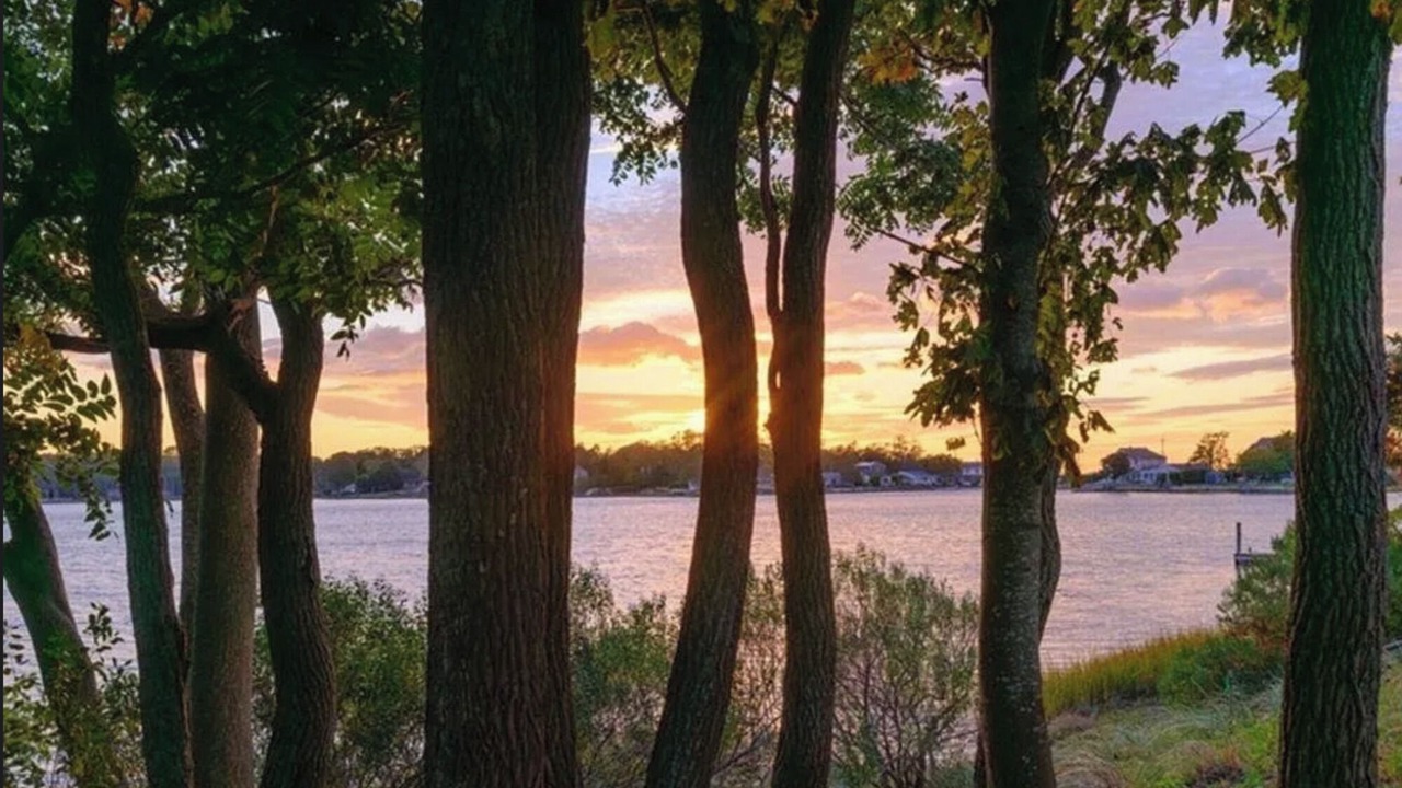 Photo of Others in Southold