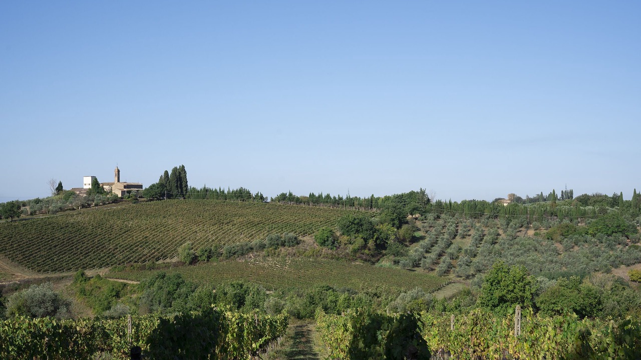 Photo of Others in San Casciano in Val di Pesa