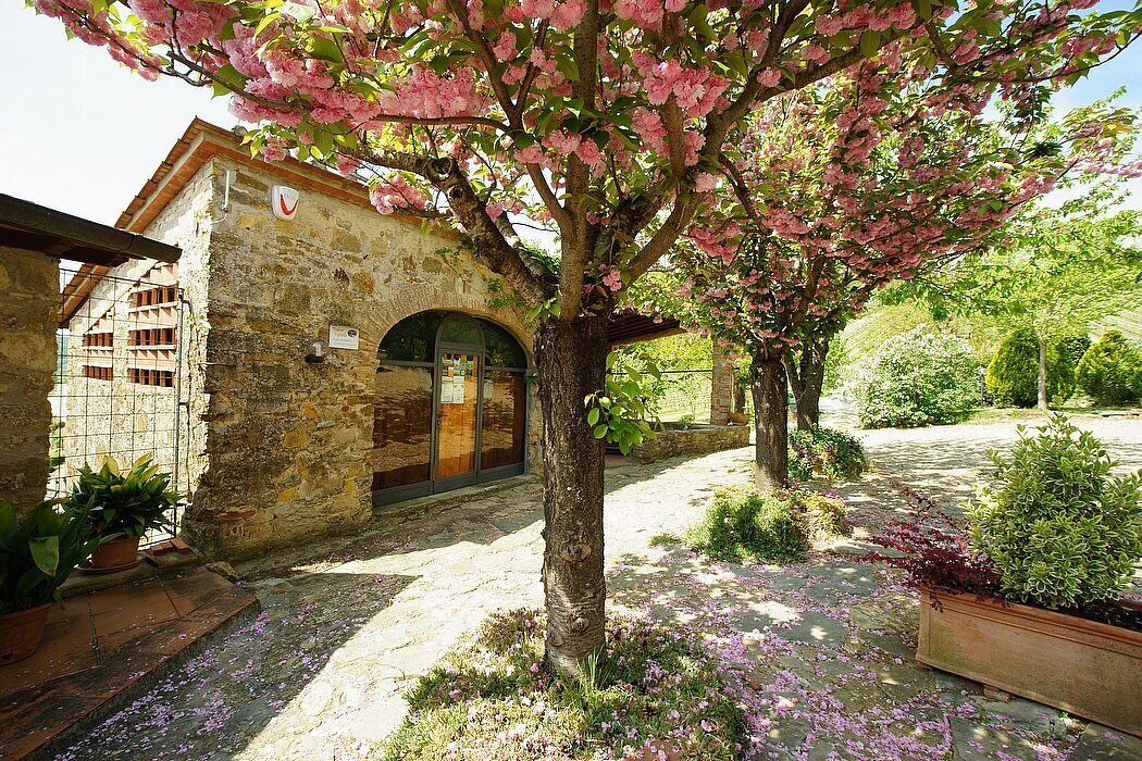 Photo of Outdoor in Pontassieve