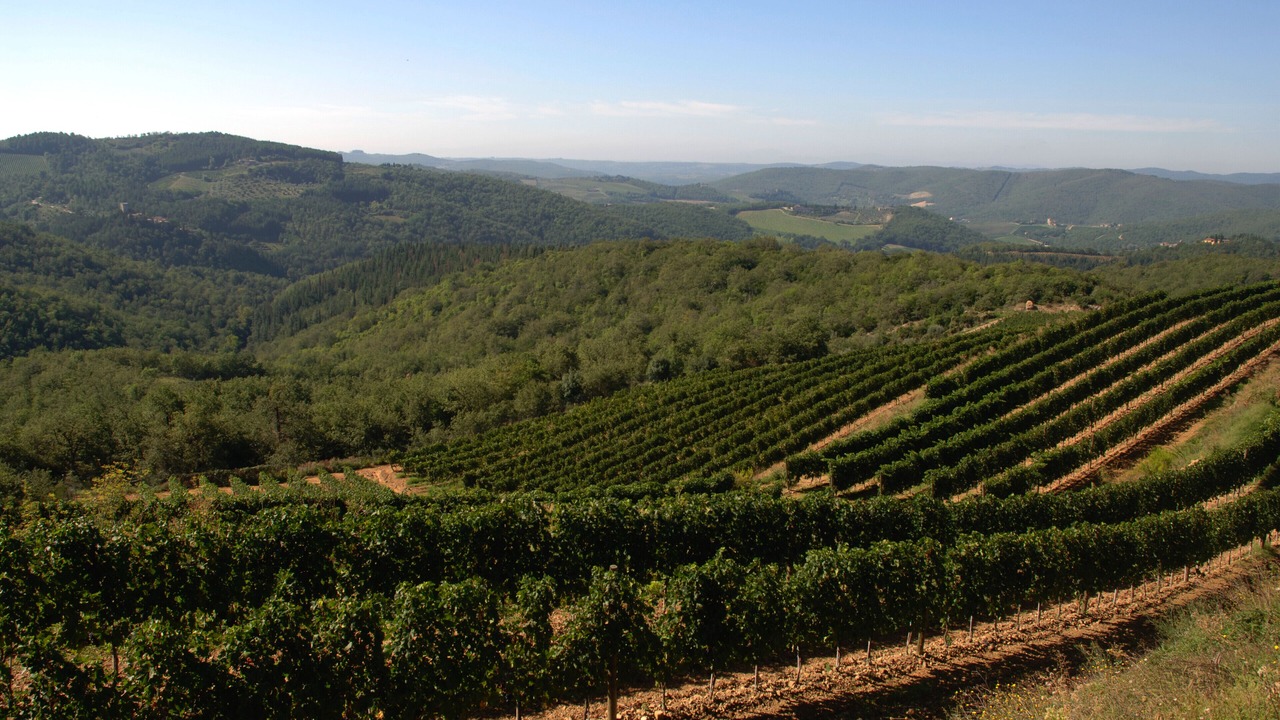 Photo of Outdoor in Gaiole in Chianti