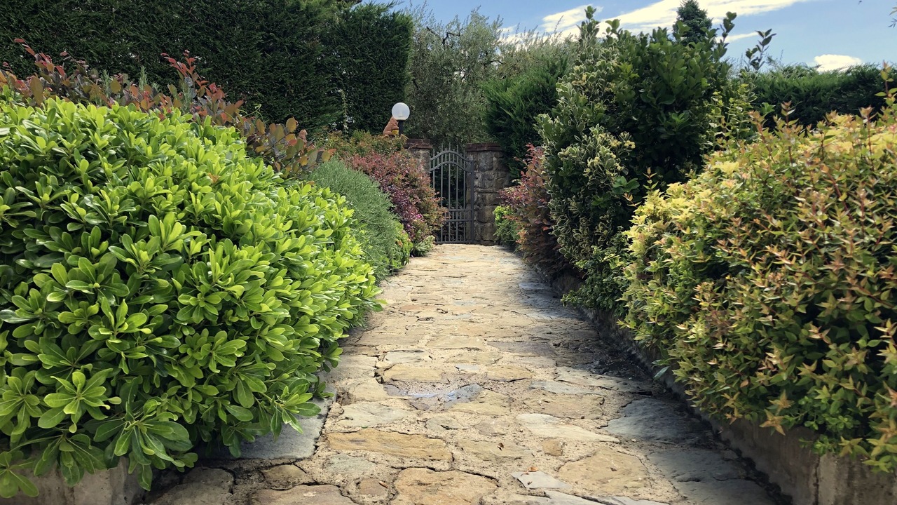 Photo of Outdoor in Loro Ciuffenna