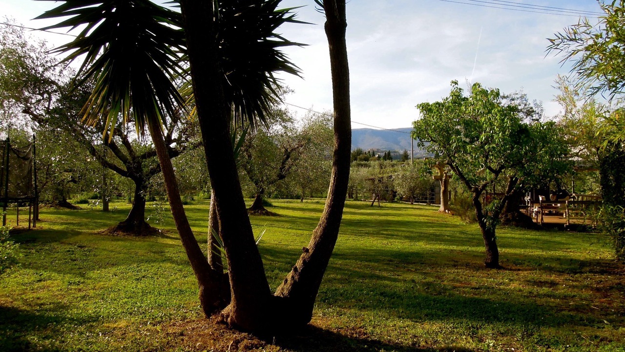 Photo of Outdoor in Velletri