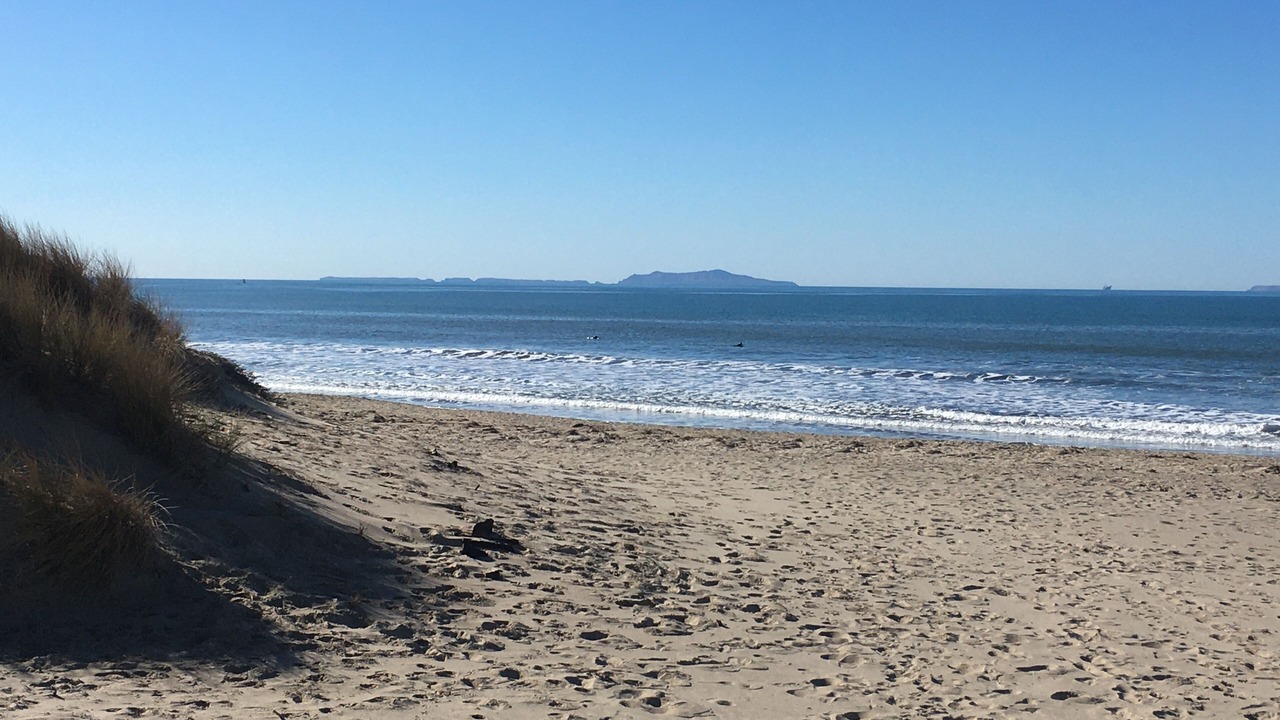Photo of Others in Pierpont Bay
