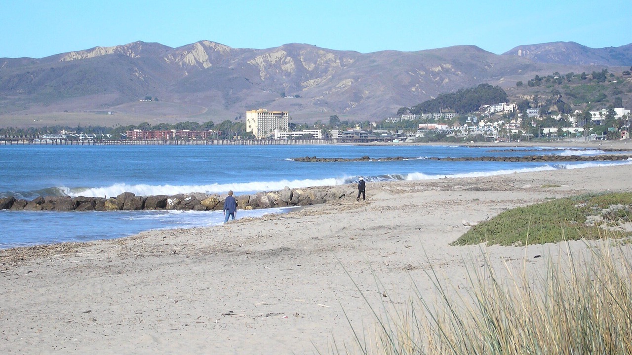 Photo of Others in Pierpont Bay