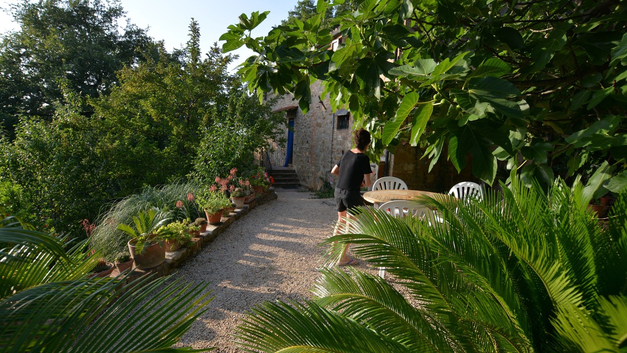Photo of Outdoor in Radicondoli