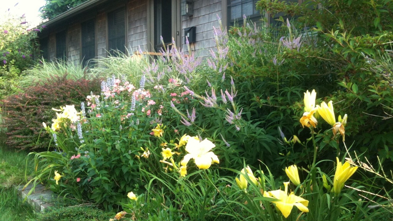 Photo of Outdoor in Provincetown
